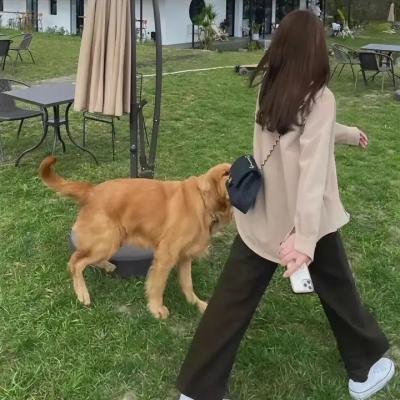 自你走后2